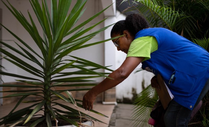 Vigilância Ambiental de Volta Redonda reforça prevenção contra o Aedes aegypti antes do verão