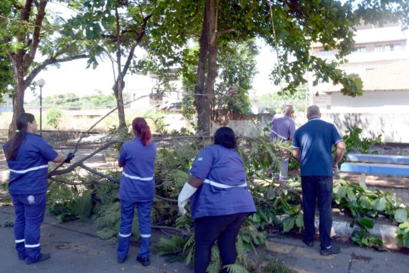 Poda de árvores é realizada no bairro Vila Nova – Barra Mansa