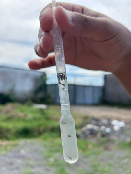 Vigilância em Saúde Ambiental de Barra Mansa finaliza primeira medição do LIRAa de 2025 – Barra Mansa