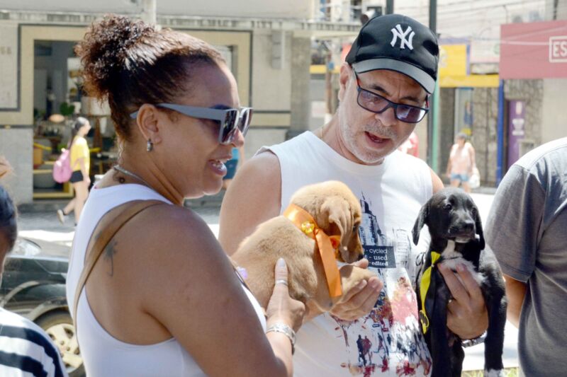 Prefeitura de Barra Mansa e Grupo CãoNina promovem feira de adoção de animais vítimas de maus-tratos e abandono – Barra Mansa