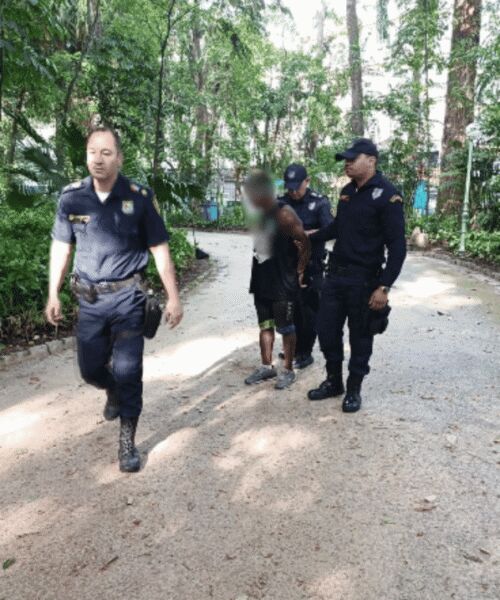 Guarda Municipal detém em flagrante homem por atos libidinosos no Parque Centenário – Barra Mansa