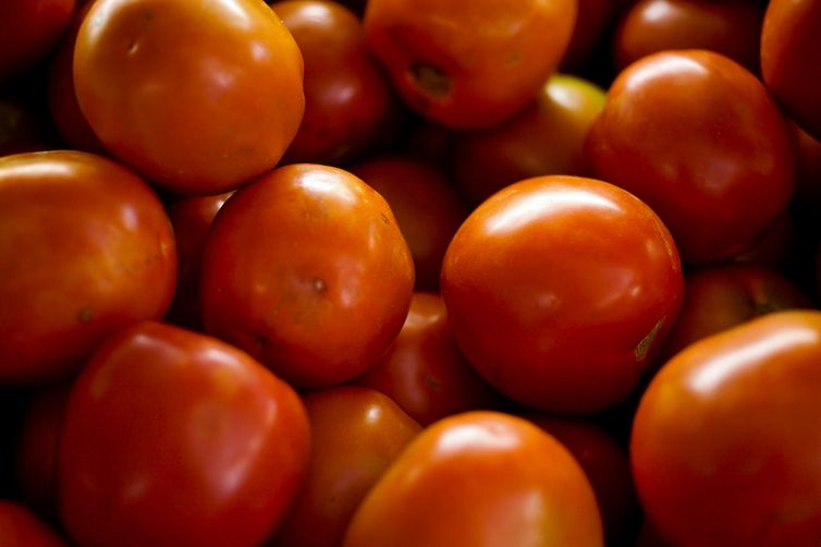 Foto Elza Fiúza/Agência Brasil Tomates