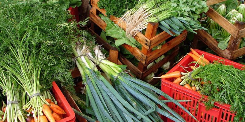 Custo de cesta básica ideal para uma pessoa chega a R$ 432 em abril