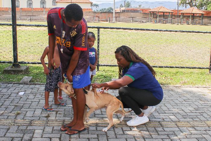 VACINAÇÃO ANTIRRÁBICA ACONTECE EM CINCO BAIRROS NESTE FIM DE SEMANA