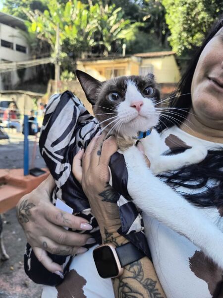 Castramóvel realiza atendimentos no bairro Goiabal a partir desta segunda-feira (26) – Barra Mansa