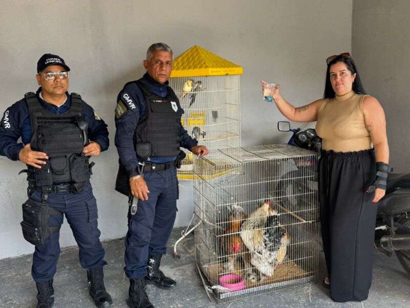 Prefeitura de Volta Redonda apreende animais mantidos em condições irregulares no bairro Aterrado