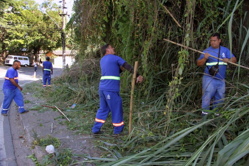 Serviços de poda e limpeza urbana são realizados no bairro Monte Cristo – Barra Mansa