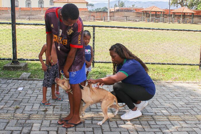 VACINAÇÃO ANTIRRÁBICA ACONTECE EM CINCO BAIRROS NESTE FIM DE SEMANA