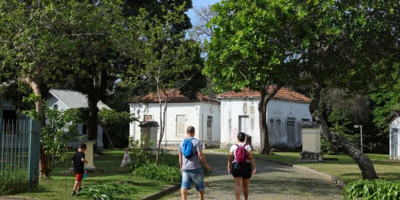 Programação no Mast lembra os 100 anos de visita de Eisntein ao Brasil