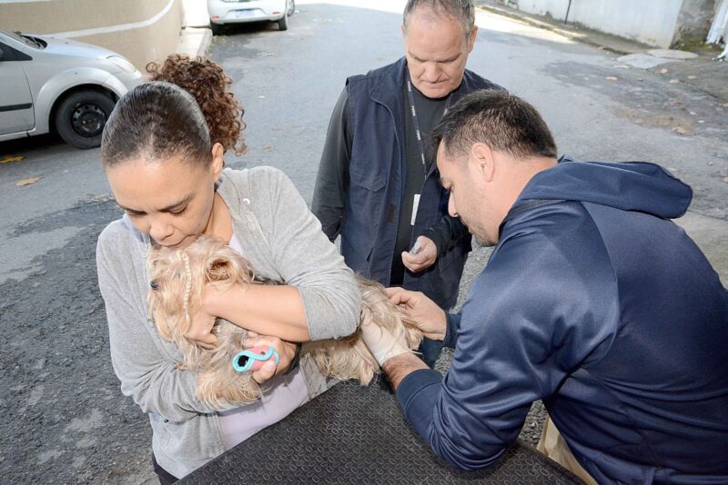 Barra Mansa intensifica ações de combate à leishmaniose visceral canina – Barra Mansa