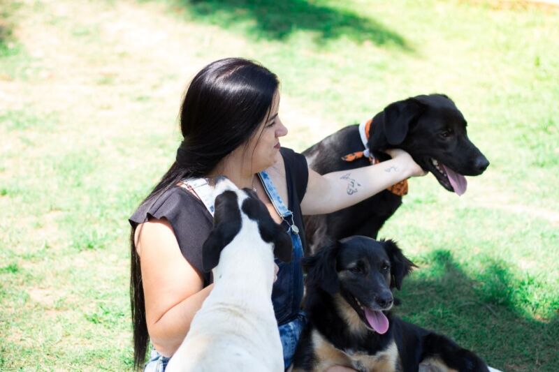 Volta Redonda: Secretaria de Proteção e Defesa Animal abre cadastro para protetores independentes e entidades de proteção animal