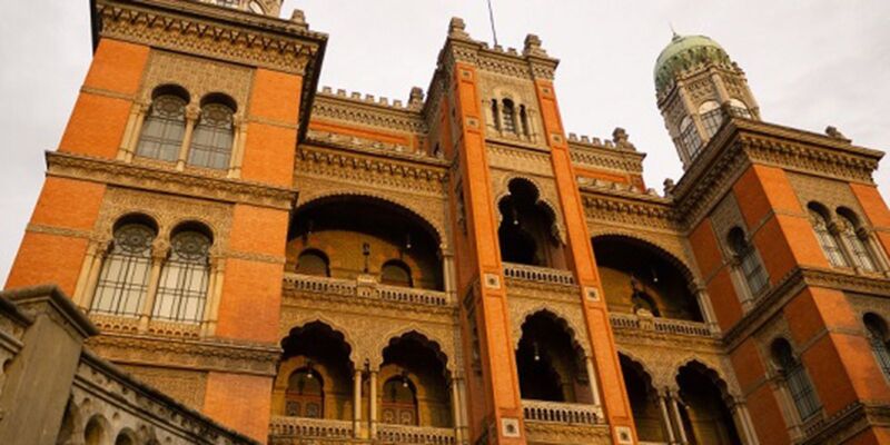 Fiocruz produz remédio para atrofia muscular espinhal