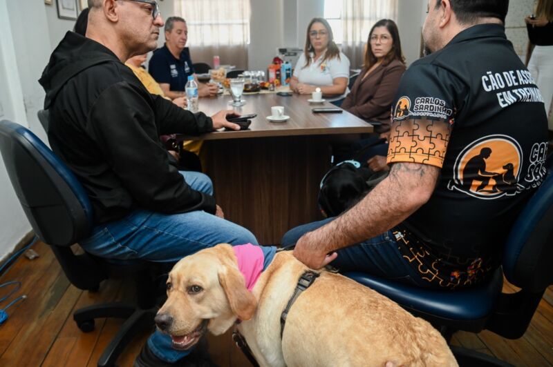 Barra Mansa estuda implantação de curso com cães para atendimento a pessoas com deficiência – Barra Mansa