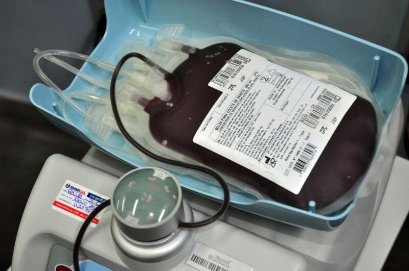 Hemonúcleo de Barra Mansa faz apelo à população para reforçar doações de sangue – Barra Mansa