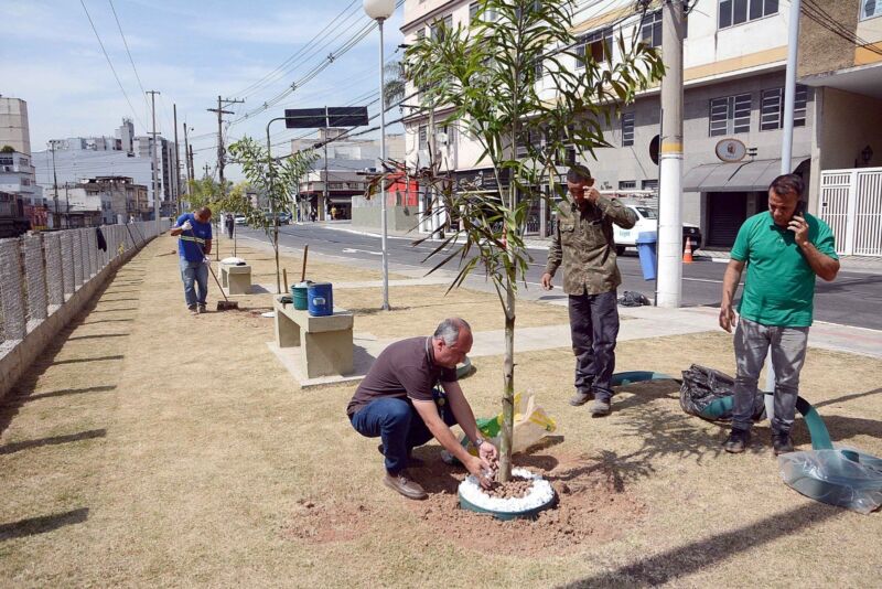 Prefeitura de Barra Mansa prossegue com trabalho paisagístico na Avenida Roosevelt Brasil – Barra Mansa