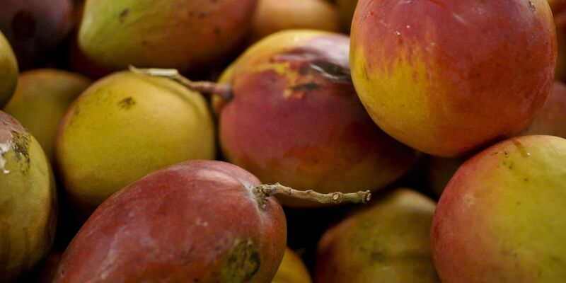 Abrafrutas apoia plano e pede atenção a pequenos produtores