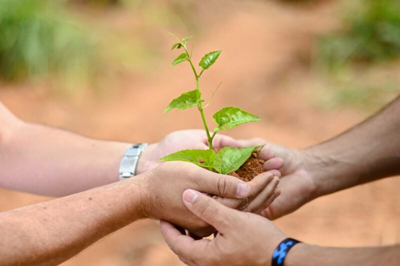 Alunos de Barra Mansa participam de concurso fotográfico – Barra Mansa