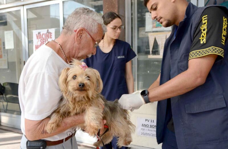 Barra Mansa inicia campanha de vacinação antirrábica para cães e gatos – Barra Mansa