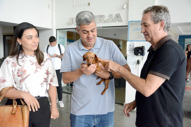 Cão resgatado pela Secretaria de Bem-Estar dos Animais ganha novo lar – Barra Mansa