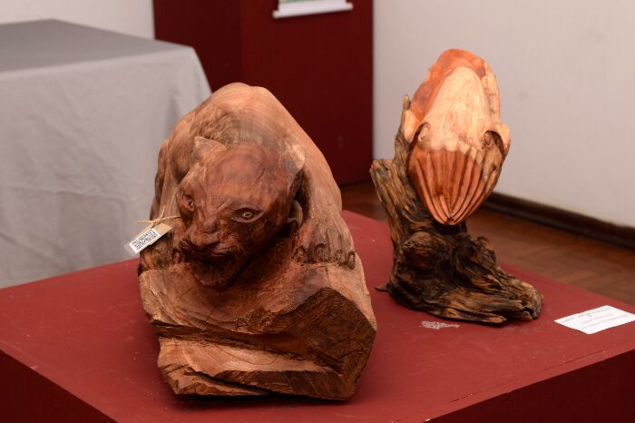 MUSEU DE ARTE MODERNA DE RESENDE ABRE 52º SALÃO DA PRIMAVERA NESTA SEXTA-FEIRA, DIA 12