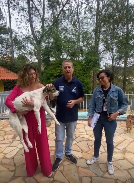 SMPA reforça apoio à família de cão baleado no bairro Moinho de Vento – Barra Mansa