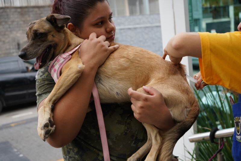 Volta Redonda: campanha de vacinação antirrábica tem última etapa neste sábado (27)