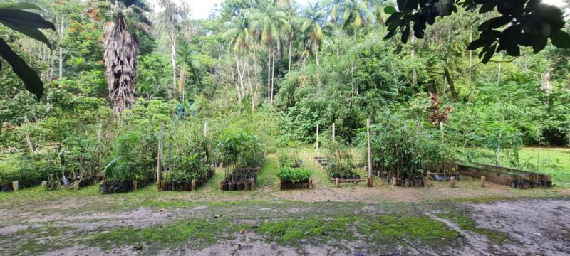 Volta Redonda conquista, em 2025, sua melhor posição no ranking do ICMS Ecológico