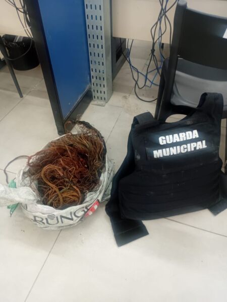 Guarda Municipal de Volta Redonda prende em flagrante dupla por furto de cabos