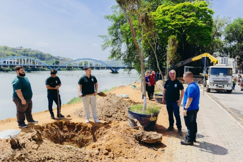 Prefeitura de Barra Mansa planta ipês na Beira-Rio – Barra Mansa