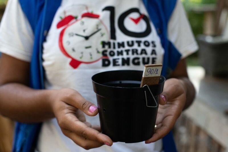 Saúde de Volta Redonda desenvolve armadilha de monitoramento do mosquito da dengue