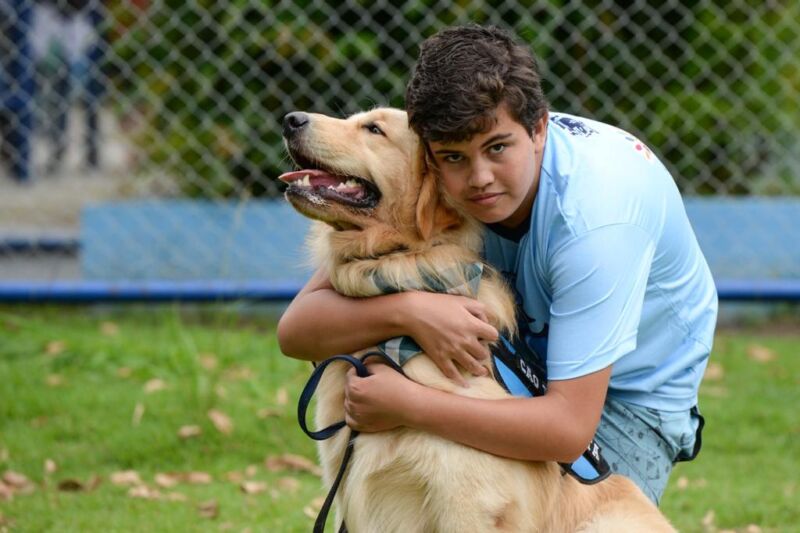 ‘Pet Kids’ vai unir animais de estimação e diversão para crianças neste sábado no Jardim das Preguiças – Barra Mansa