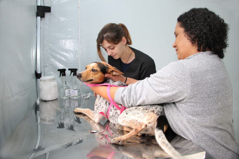 Clínica Veterinária de Barra Mansa já realizou mais de 2.100 castrações em 2025 – Barra Mansa