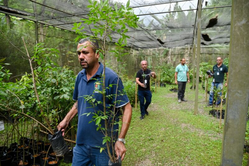 Horto Municipal de Barra Mansa já doou mais de 10 mil mudas de árvores nativas em 2025 – Barra Mansa