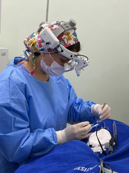 Hospital São João Batista, em Volta Redonda, realiza quase 160 cirurgias nos mutirões de novembro