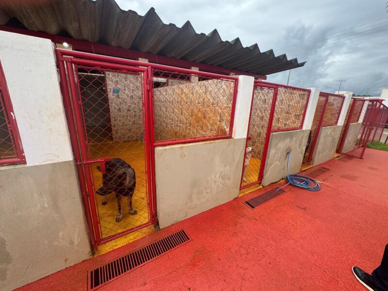 Volta Redonda avança na inclusão com parceria para implantação de projeto de Cão-Guia