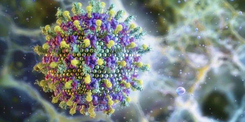 Ministério da Saúde diz que vírus Nipah não ameaça o Brasil