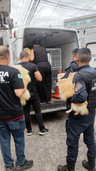 Ação da Prefeitura de Volta Redonda e Polícia Civil fecha canil clandestino e resgata cães vítimas de maus-tratos no Siderlândia