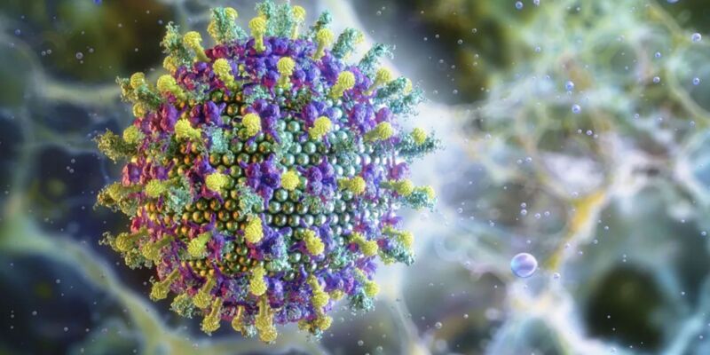 Nipah: saiba mais sobre o vírus que preocupa a Ásia