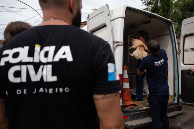 Ação da Prefeitura de Volta Redonda e forças de segurança interrompe venda ilegal de animais no Siderópolis