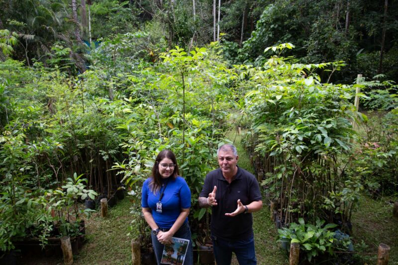 Secretaria de Meio Ambiente de Volta Redonda lança projeto ‘Plante uma Árvore’