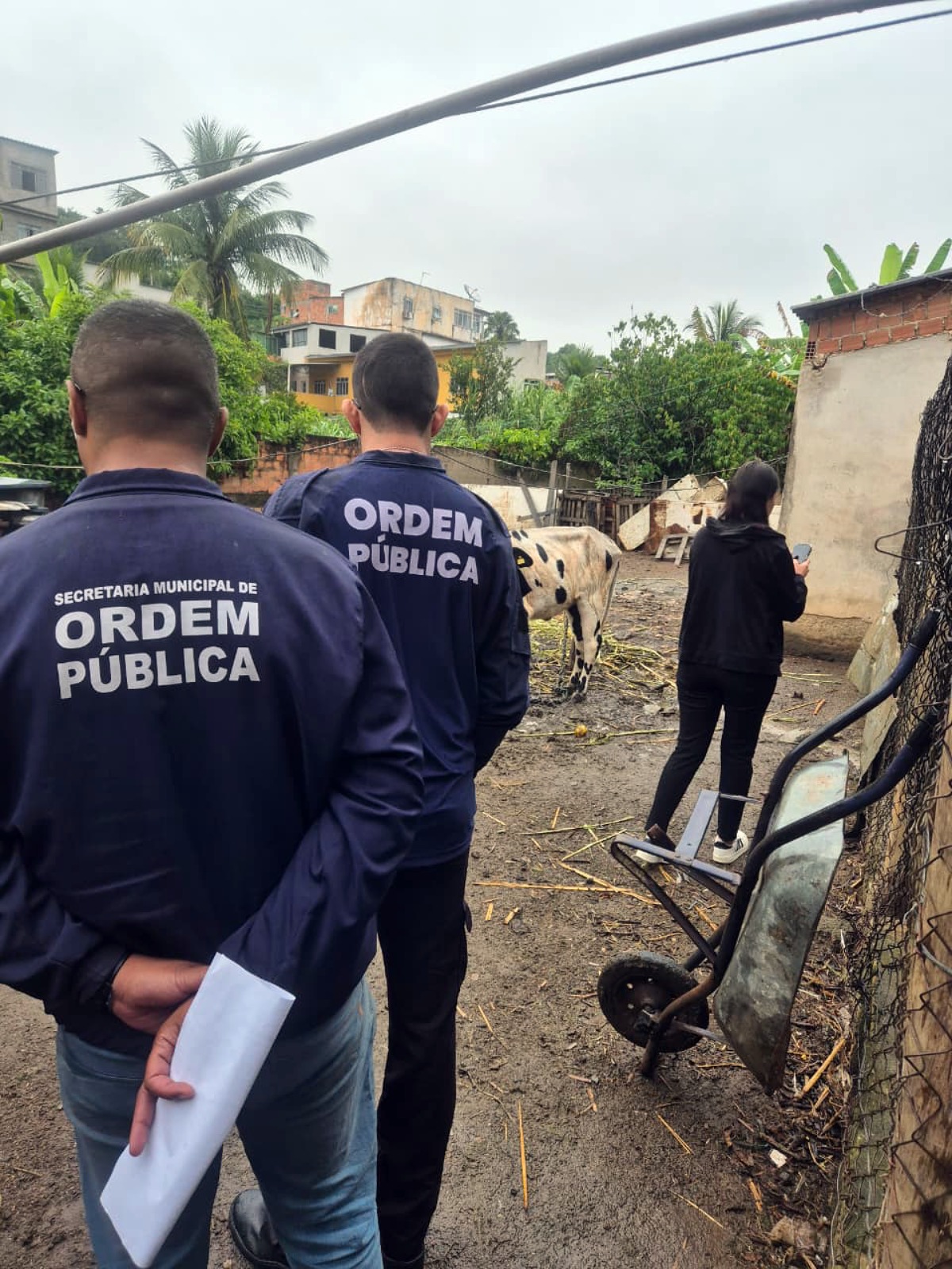 Prefeitura de Volta Redonda identifica irregularidades e maus-tratos a animais durante fiscalização no bairro Três Poços