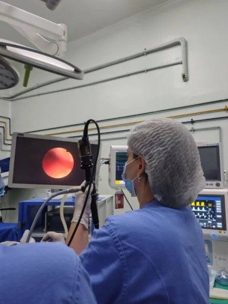 Volta Redonda: Hospital São João Batista realiza procedimento de alta especialização em novo mutirão de cirurgias