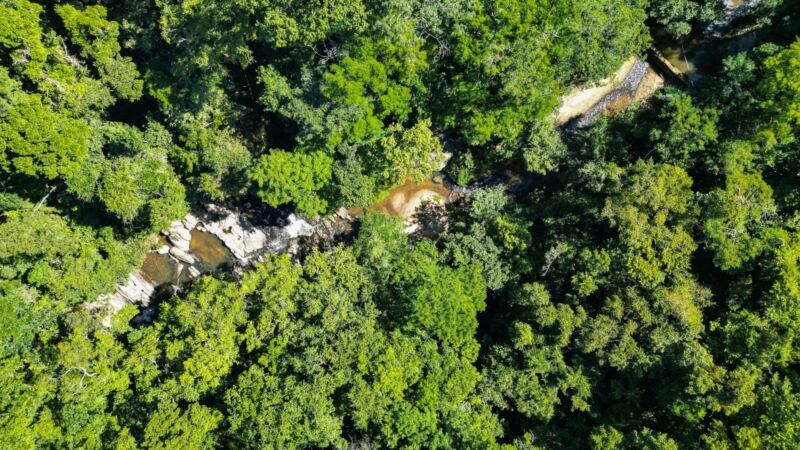 Prefeitura de Volta Redonda promove ‘Turistando em VR’ especial na Floresta da Cicuta