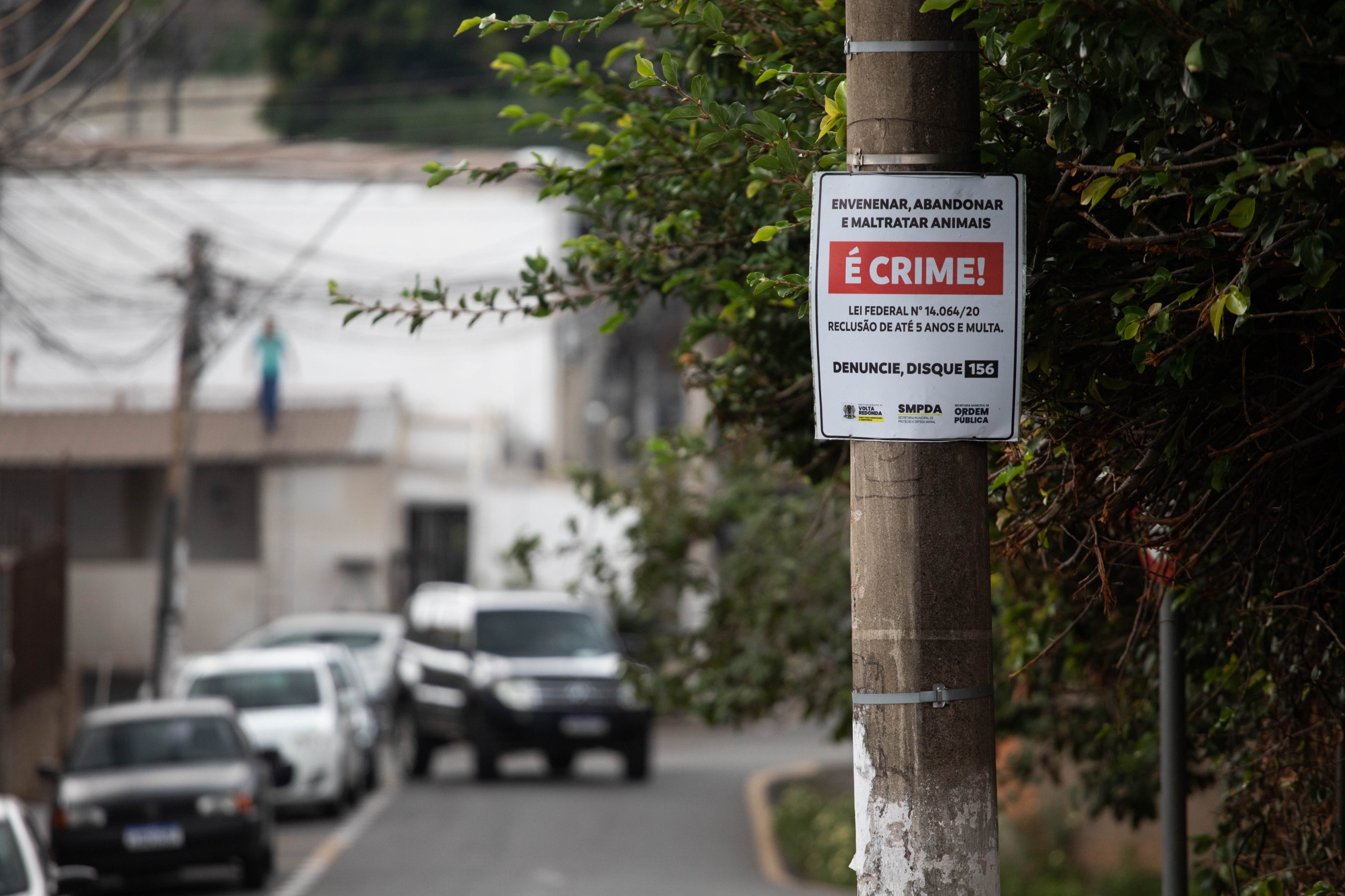 Prefeitura de Volta Redonda inicia instalação de placas de conscientização contra abandono e maus-tratos aos animais