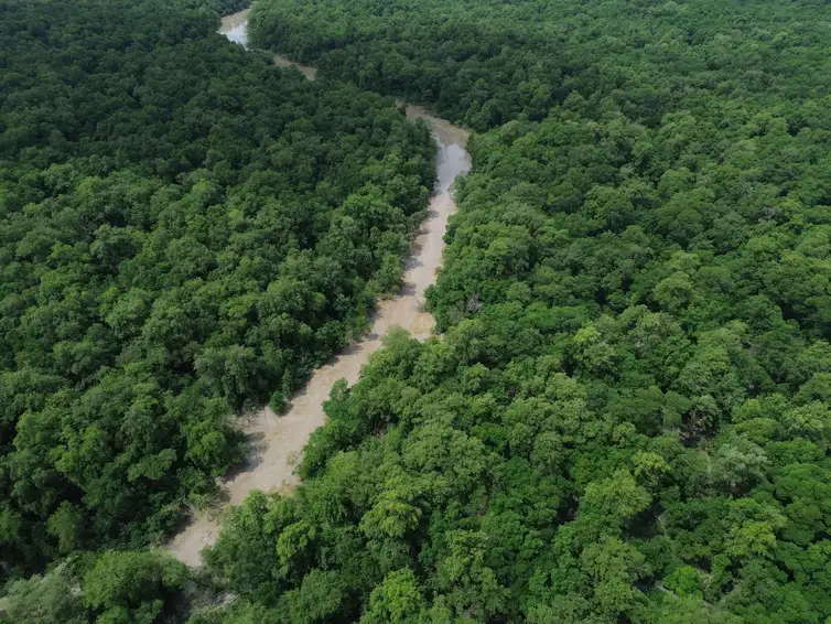 Fernando Frazão/Agência Brasil Bragança (PA), 12/06/2025 – Vista de um braço do Rio Caeté em área de manguezal na Reserva Extrativista Marinha de Caeté-Taperaçu monitorada pelo projeto Mangues da Amazônia. Foto: Fernando Frazão/Agência Brasil