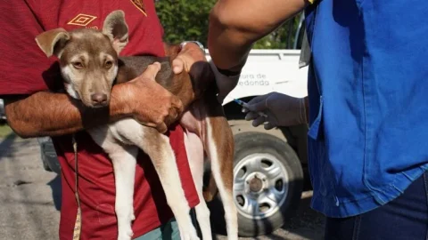 Volta Redonda imuniza mais de 5,6 mil cães e gatos na primeira etapa da campanha de vacinação antirrábica