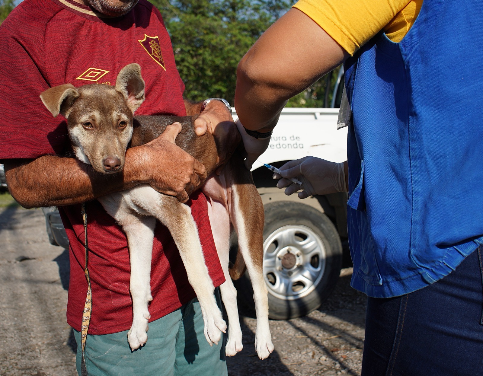 Volta Redonda imuniza mais de 5,6 mil cães e gatos na primeira etapa da campanha de vacinação antirrábica