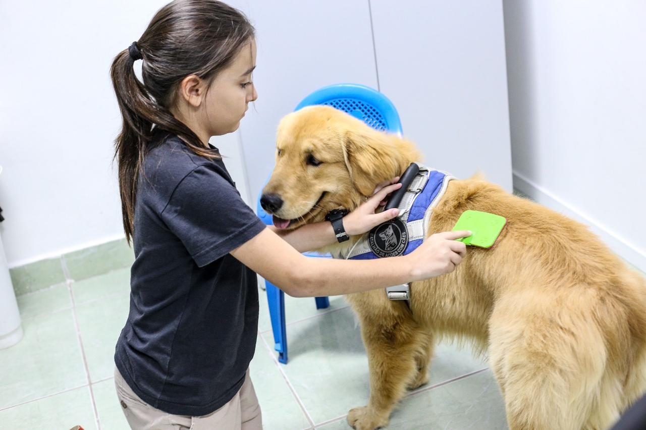 Cães adquiridos pela Prefeitura de Volta Redonda iniciam atendimento de cinoterapia no Laço Azul