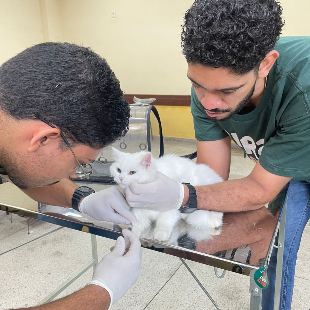Prefeitura de Volta Redonda e UFRRJ levam vacinação gratuita de cães e gatos para a Praça Brasil no fim de semana