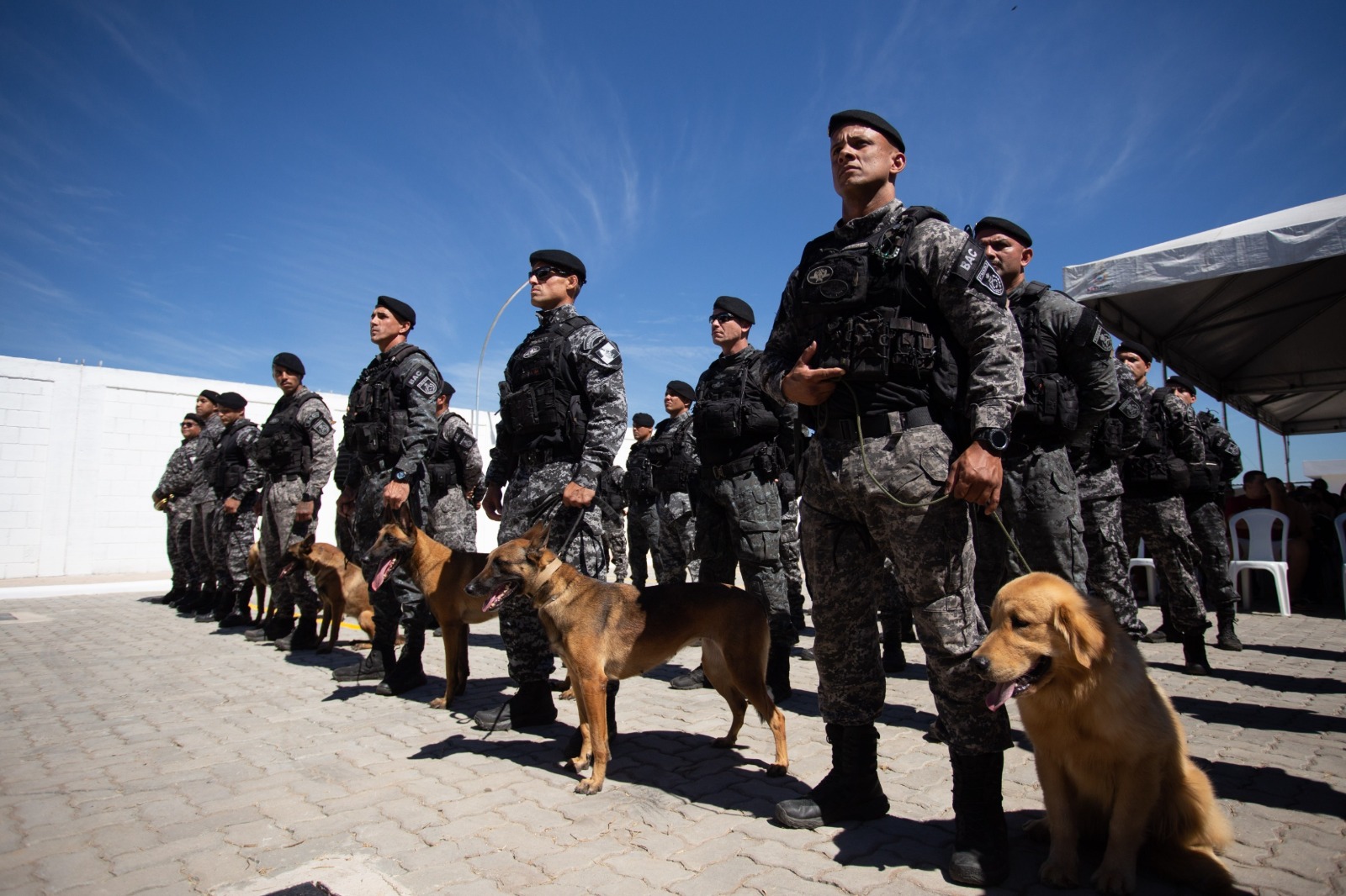 Sediada em Volta Redonda, 3ª Cia do BAC completa 40 dias com 11 presos, armas retiradas das ruas e mais de 68 kg de drogas apreendidas